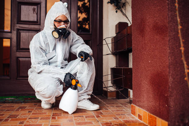 Reliable Wasp Removal contractor in West Point, NE by Show Me Pest Control